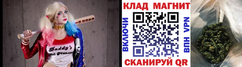 Где можно купить наркотики Ельня СК  Гашиш 