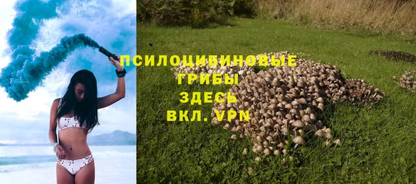 прущие грибы Арсеньев