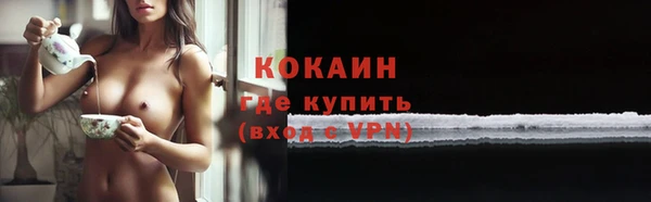индика Болохово