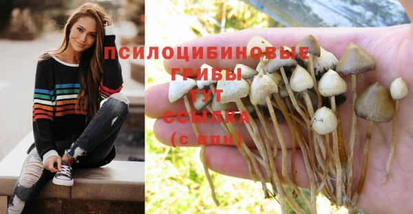 MESCALINE Армянск