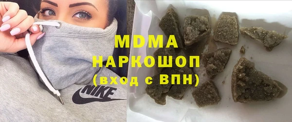 сатива Бородино
