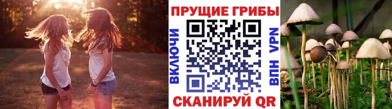 наркотики  Ельня  Псилоцибиновые грибы ЛСД 